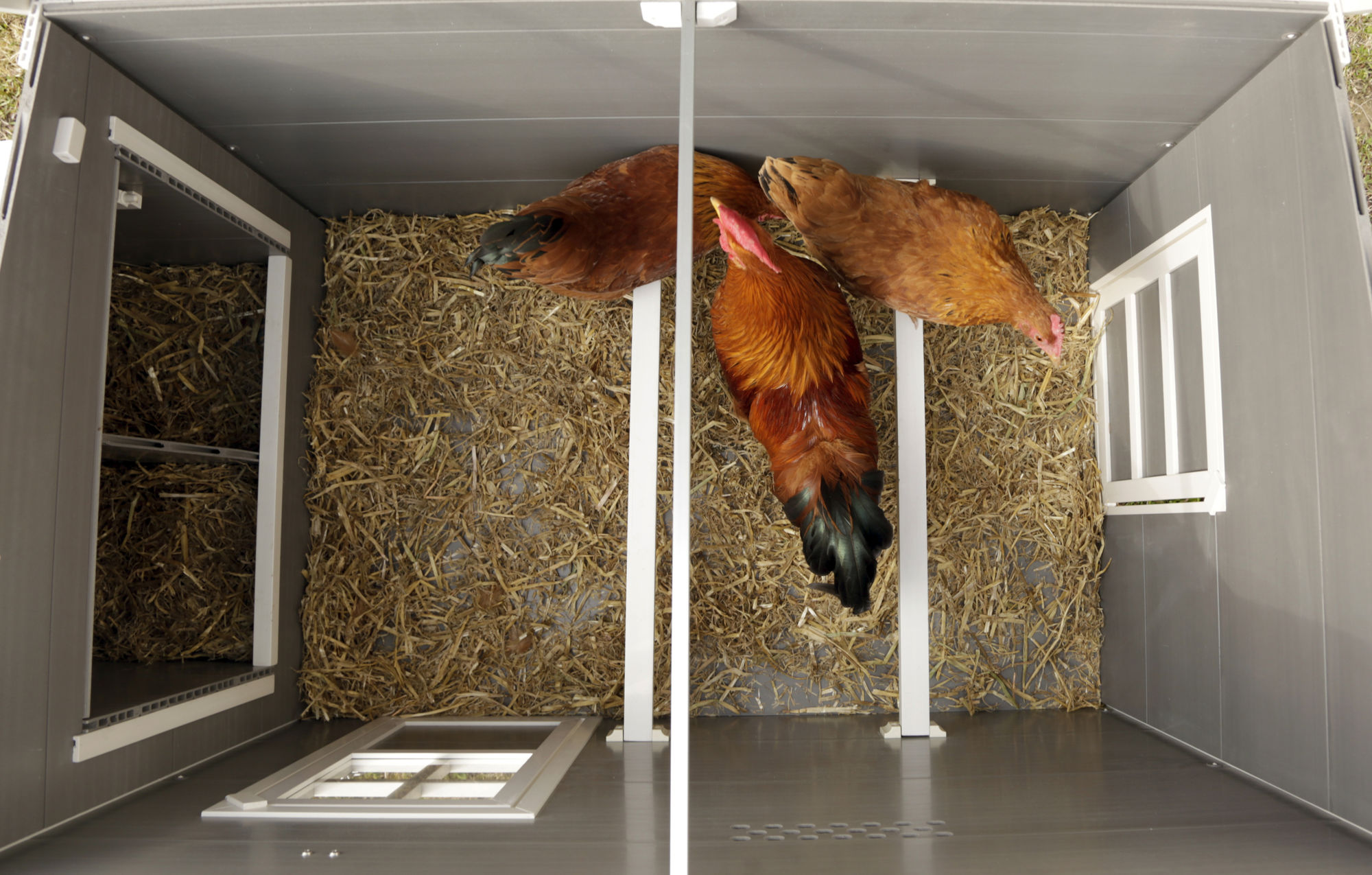 ECO-Kunststoffstall Barney für Hühner, 137 x 73 x 83 cm
