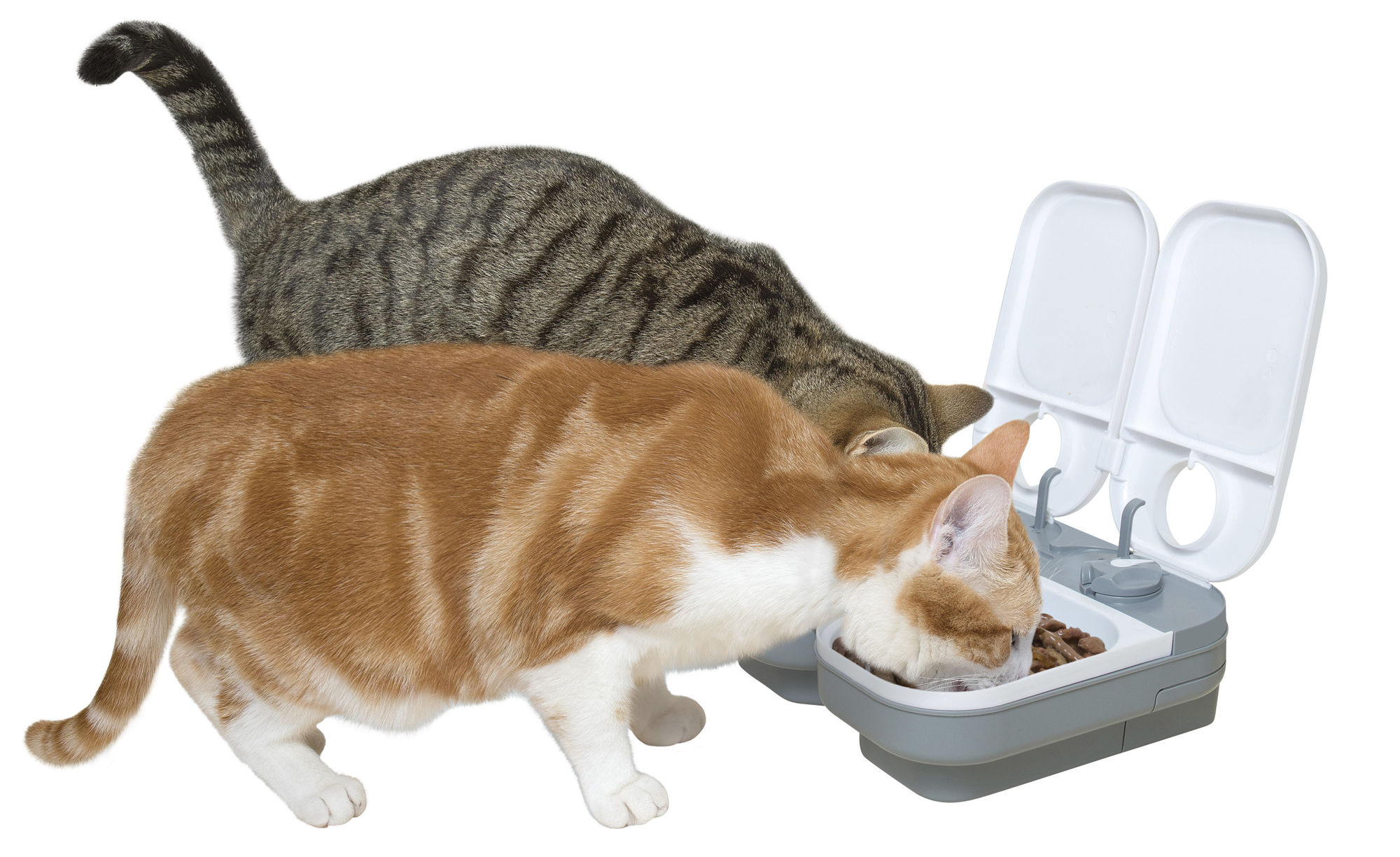 Cat Mate Automatischer Futterspender 2 Mahlzeiten