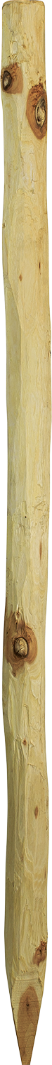 Robinienpfahl, rund, d= 6-8 cm, gefast, 4-fach gespitzt, entrindet