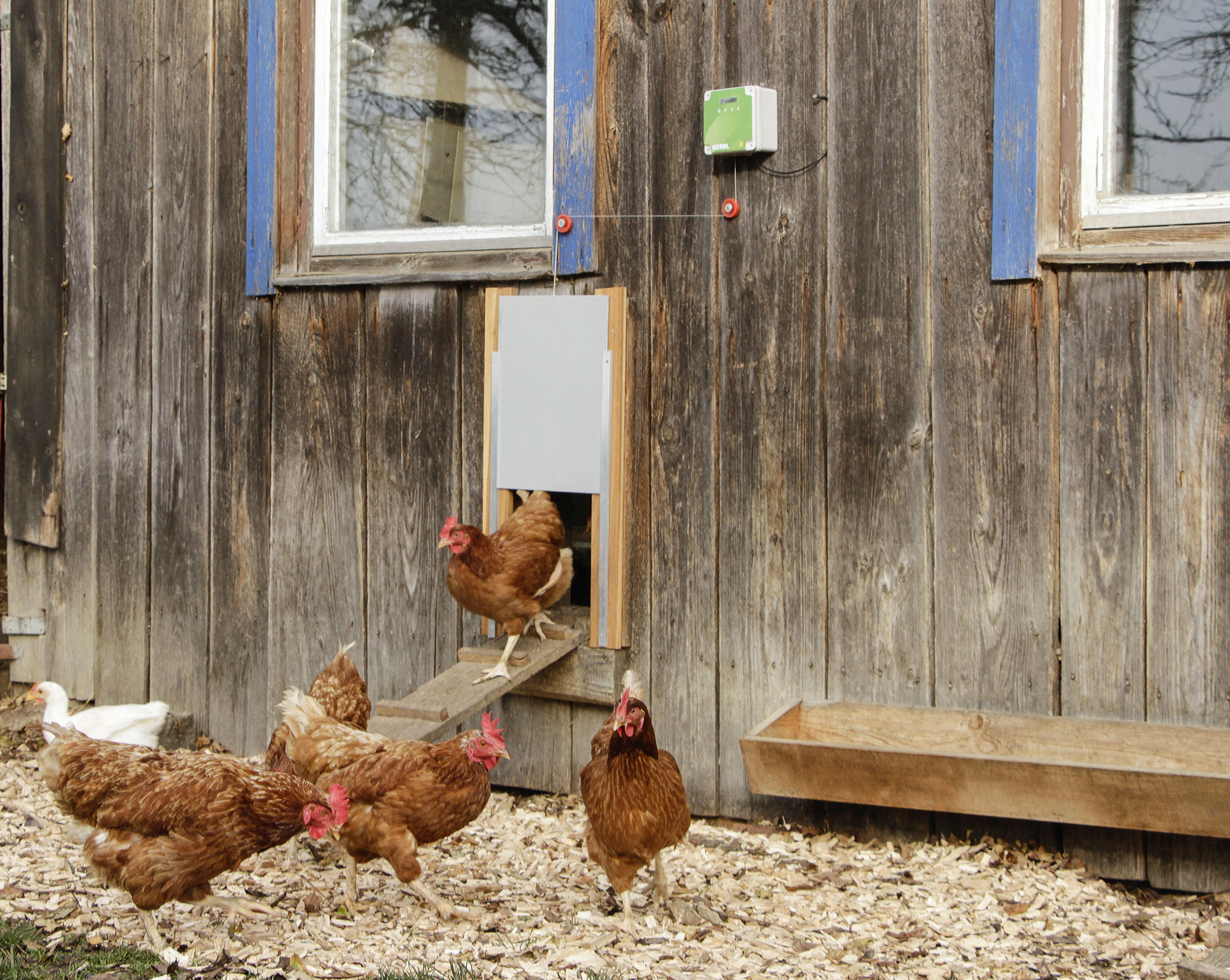 Steuerung für Automatische Hühnertür