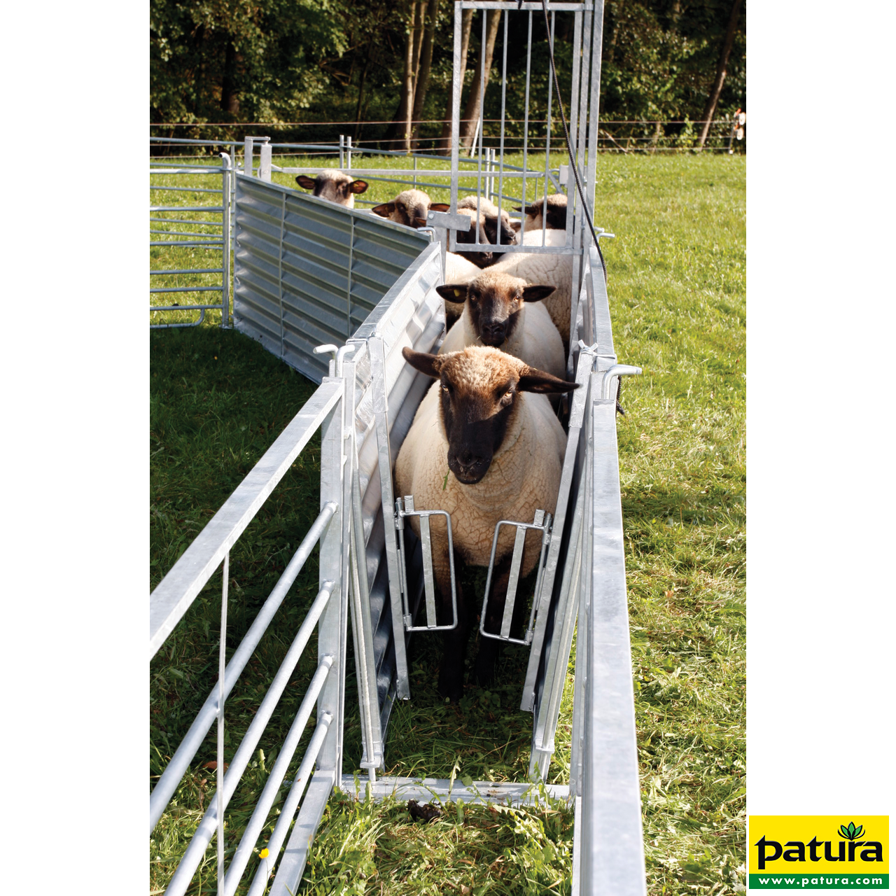 Rücklaufsperre (2-teilig), Schafe, für Horden, verzinkt