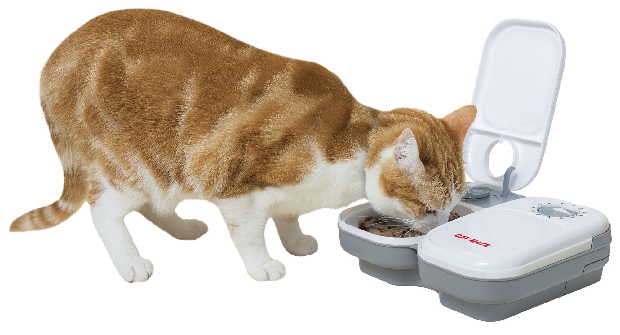 Cat Mate Automatischer Futterspender 2 Mahlzeiten